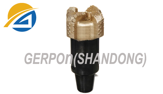 PDC rotary drilling bit